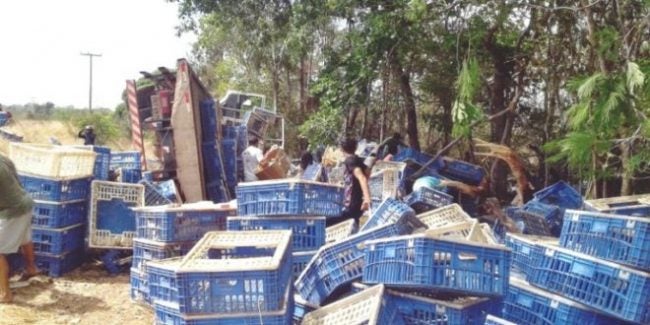 caminhão com frangos caraúbas carga saqueada