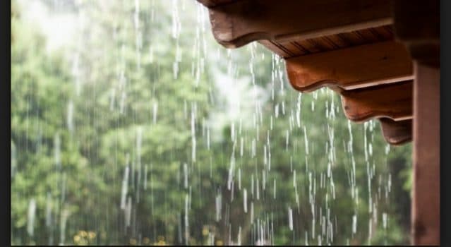 forte chuva em amarante animais alta tensão