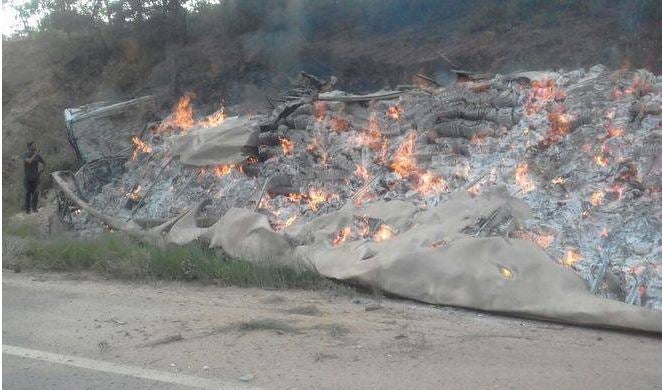 treze mortos minas gerais tragédia minas gerais ônibus caminhão