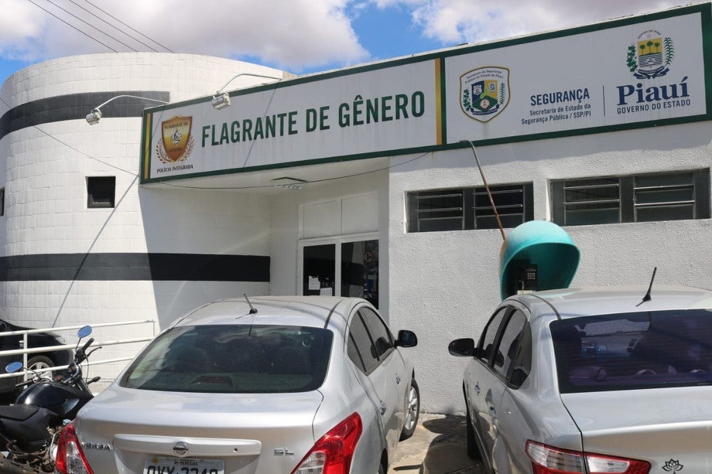 mulher grávida casa teresina