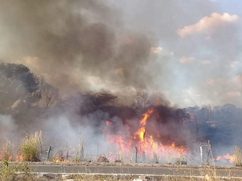 incêndios em Amarante cachaça lira