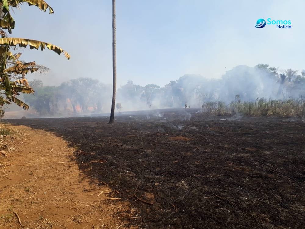 haroldo lira incêndio canavial cachaça lira amarante incêndio