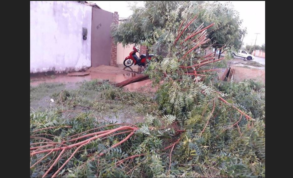 chuva de granizo castelo piauí