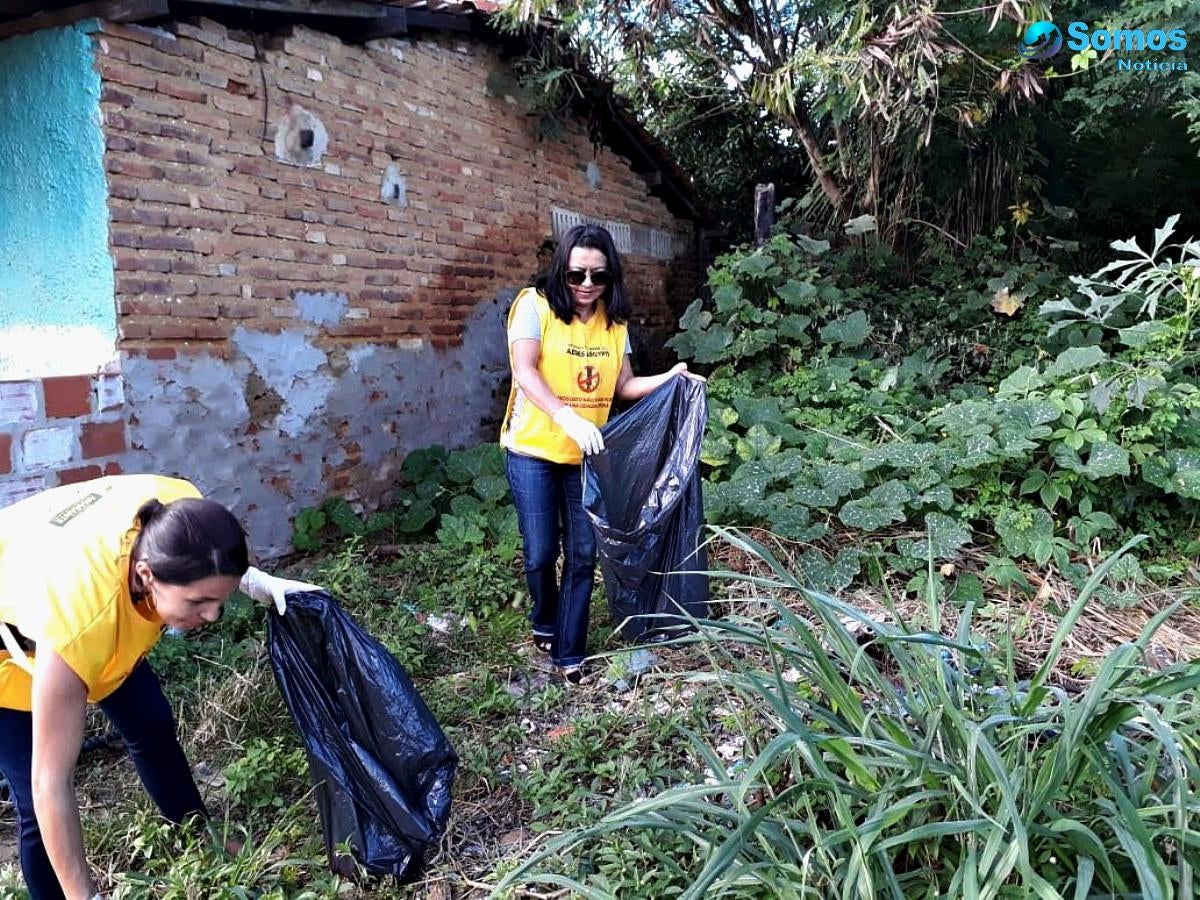 mutirão contra o Aedes Aegypti amarante