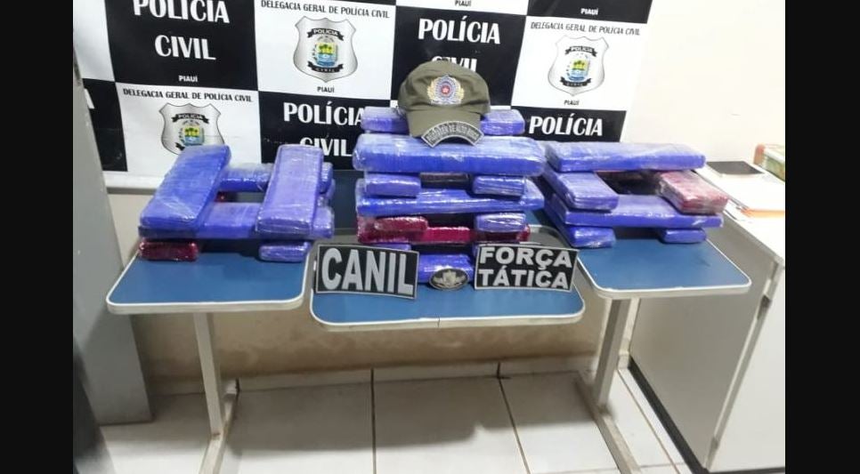 passageira presa com droga picos rodoviária