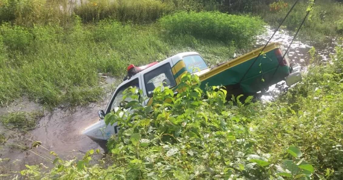 Viatura da Polícia Militar caxingó animais na pista