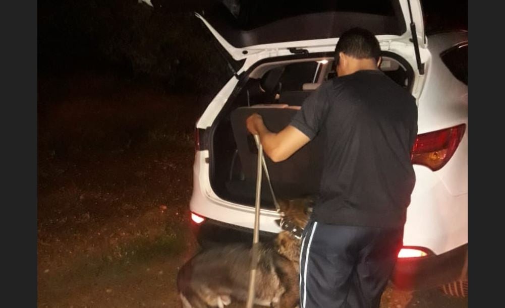 cocaína em banco de carro picos itainópolis