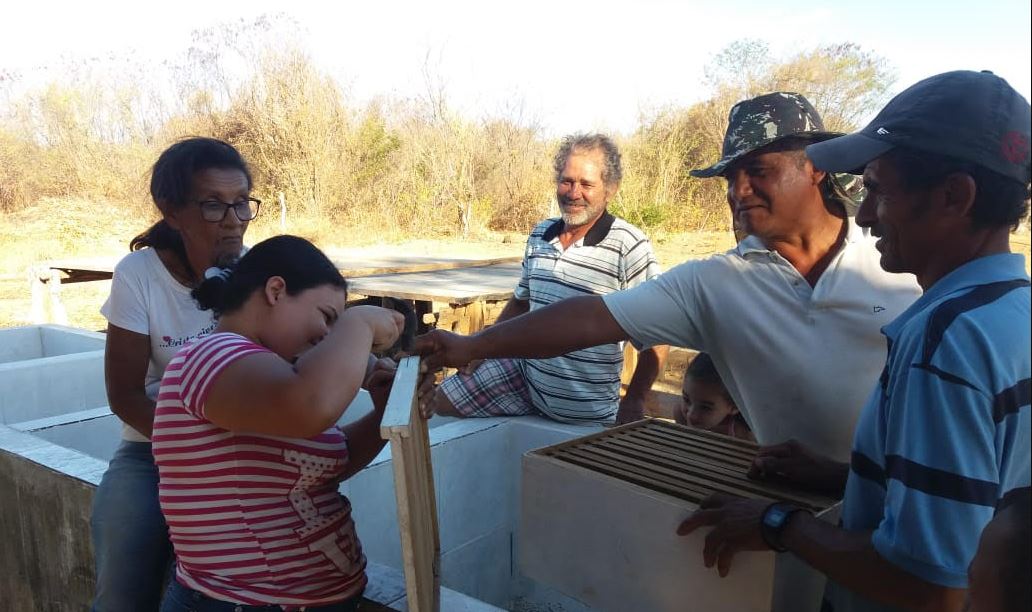 curso de Apicultura anísio de abreu