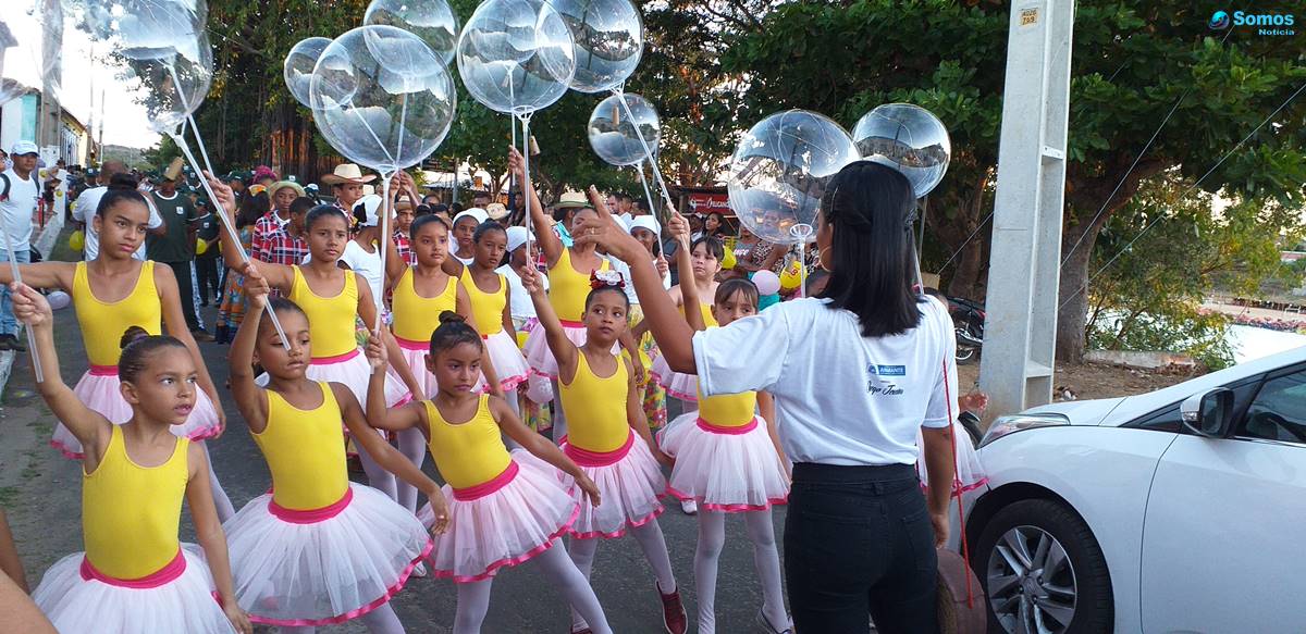 cortejo cultural de Amarante no festival cultural