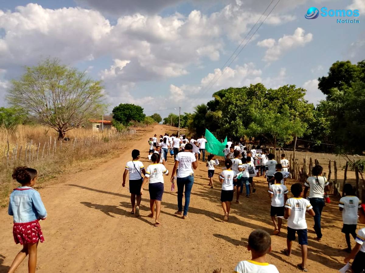 alunos da malhadinha meio ambiente amarante