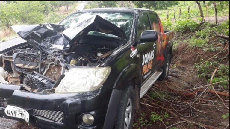 Cantor de forró fica ferido em colisão de veículo com animal em rodovia do Piauí