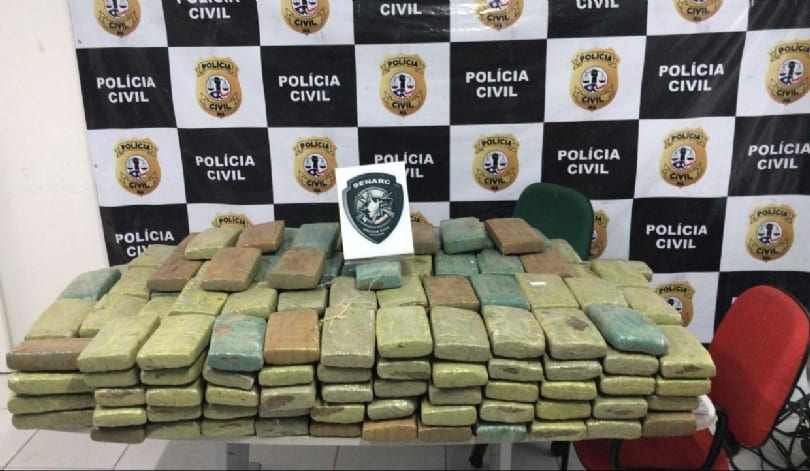 maconha apreendida pela Polícia Civil do Maranhão itapecuru-mirim