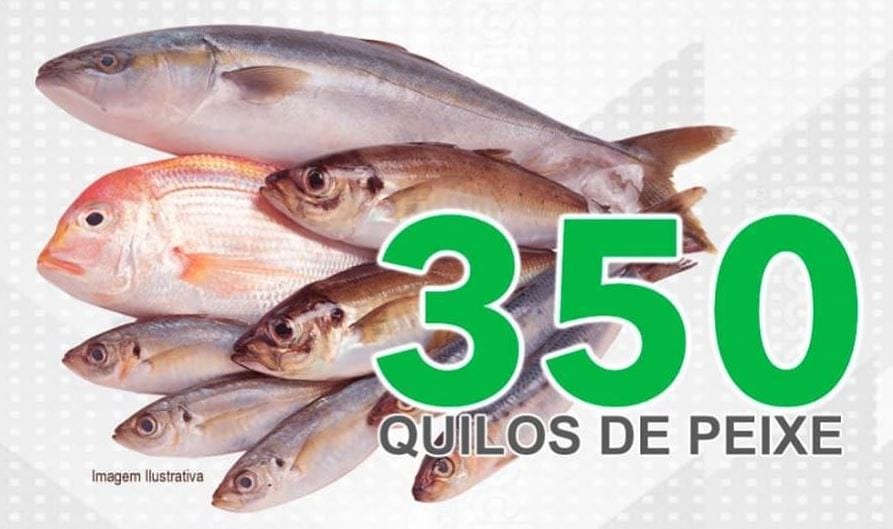 Famílias de comunidades rurais de Amarante peixes