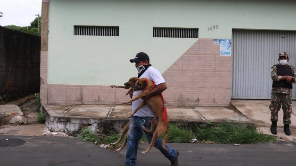 Mais de 10 cães sem água e alimento são resgatados em THE; dono é preso