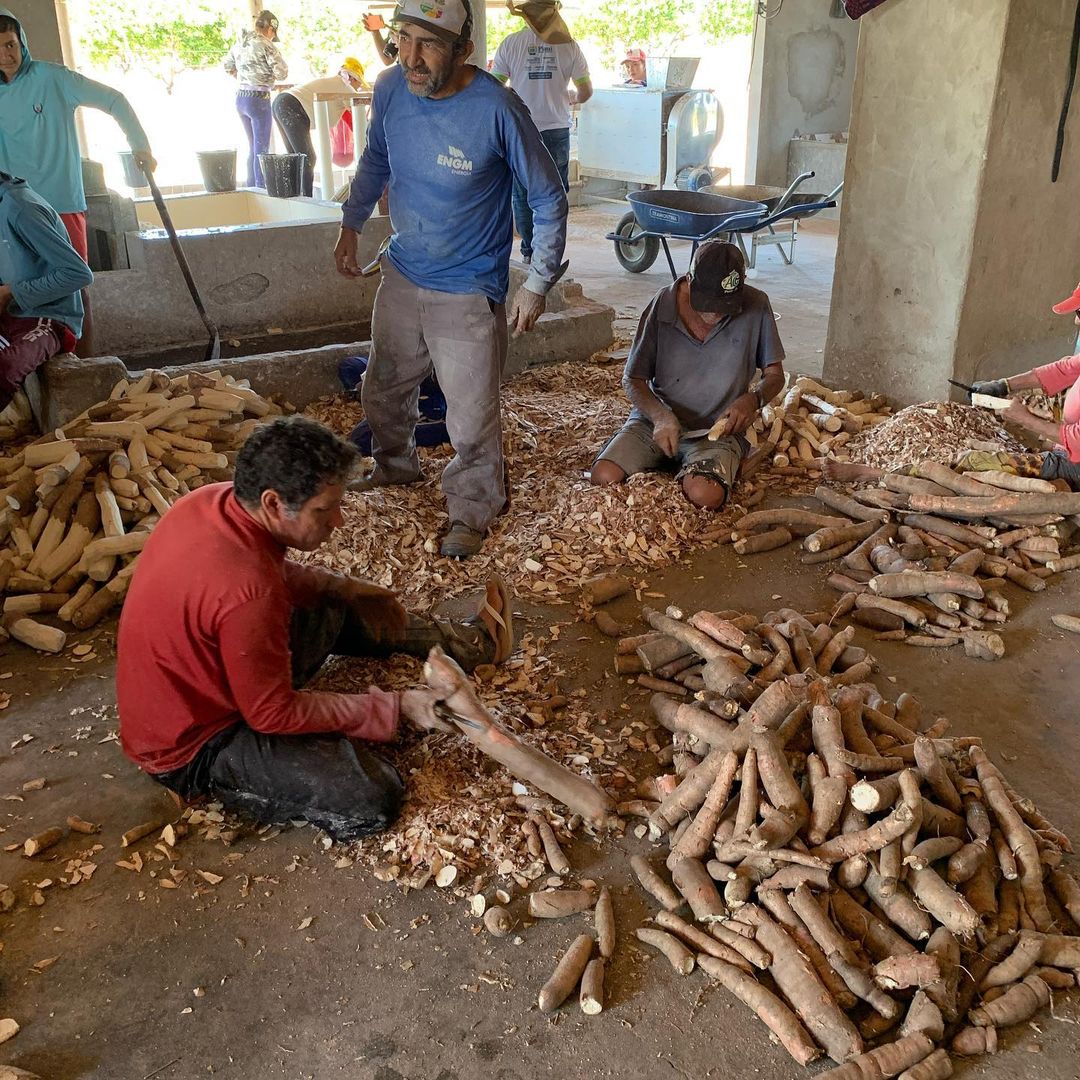 Emater beneficia mais de 200 famílias em cidade do PI com entrega de matrizes e reprodutores de ovinos e caprinos