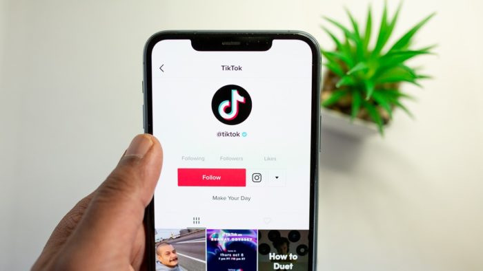 TikTok vídeos sem marca d'água