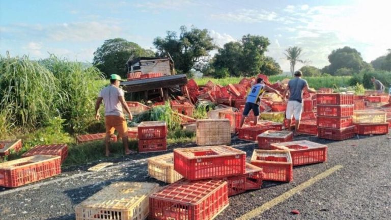 Caminhão colide com automóvel e deixa carga de frangos na pista em Lagoinha do Piauí