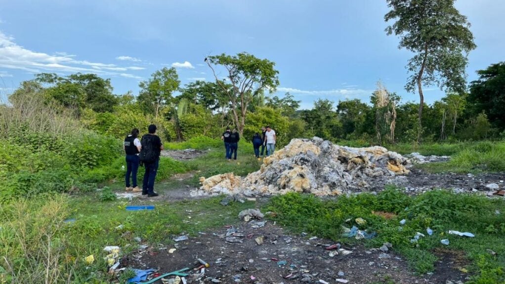 Morador encontra ossada humana em terreno baldio