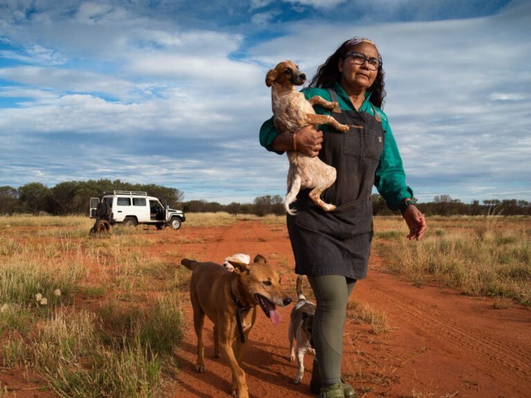 Cuidando dos cães meio selvagens da comunidade aborígine de Yuendumu