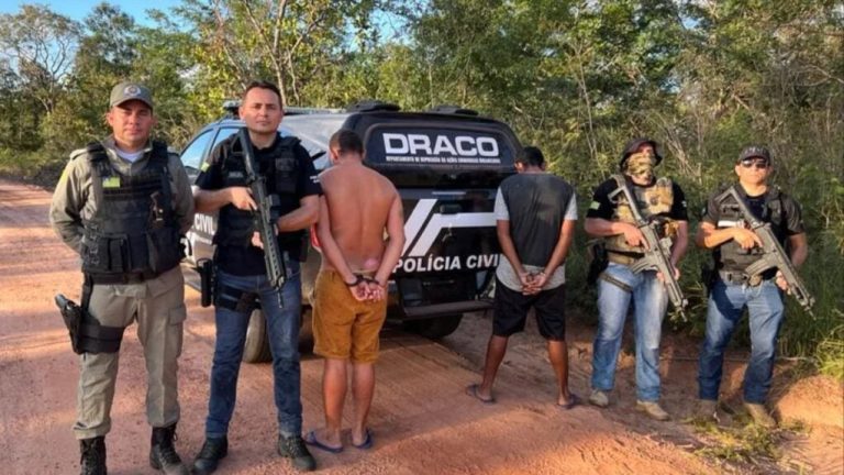 Suspeito de homicídio é preso após se esconder em cima de árvore fugindo da polícia