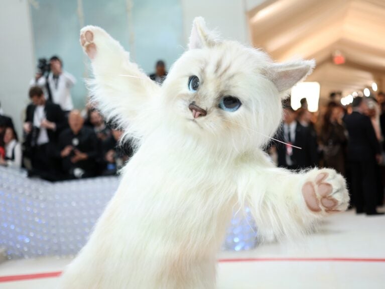 Estrelas brilham no Met Gala em homenagem ao estilista Karl Lagerfeld