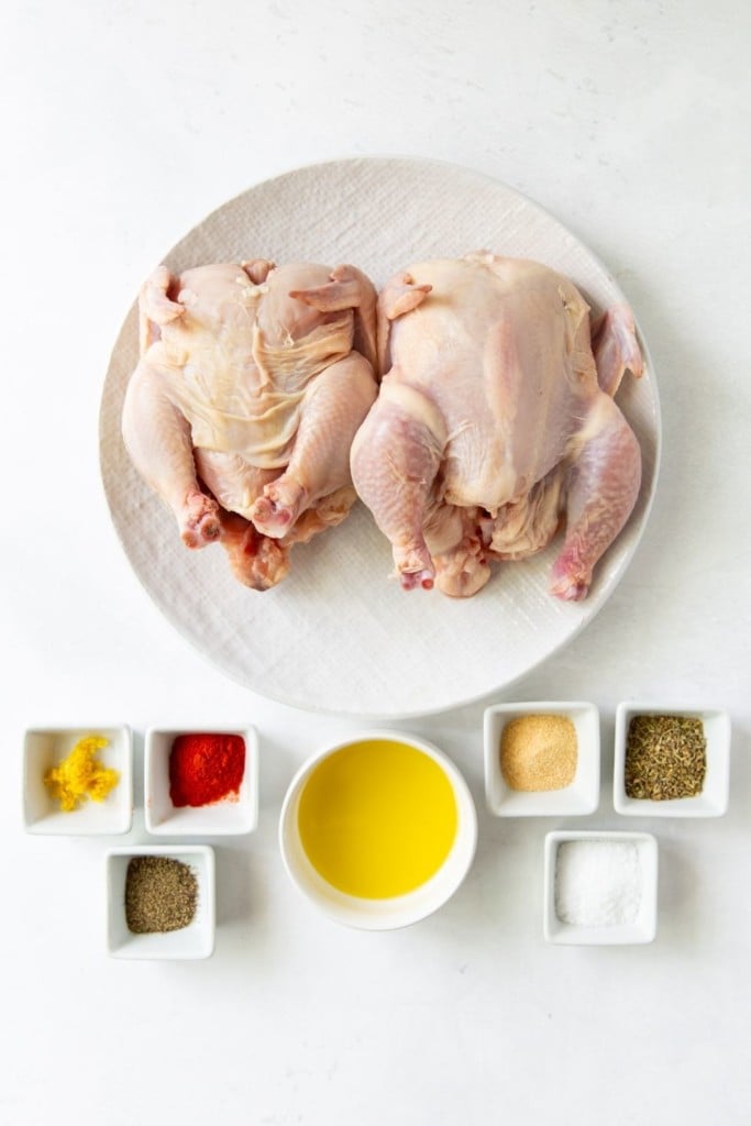 Ingredientes necessários para fazer galinha da Cornualha na fritadeira em um fundo branco