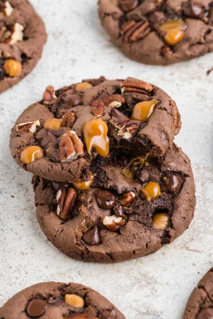 Dois biscoitos de tartaruga preparados empilhados um sobre o outro, o biscoito de cima tem uma mordida.