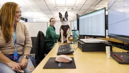 Dois funcionários da Amazon mostram um dos 6.000 cães que acompanham seus donos ao escritório em seus trabalhos.