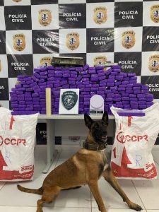 Polícia apreende 235 tabletes de maconha e prende um homem na região metropolitana de São Luís-MA