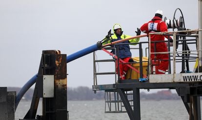 Dois trabalhadores instalam um cabo submarino de fibra ótica entre as ilhas alemãs de Rügen e Hiddensee em fevereiro do ano passado.