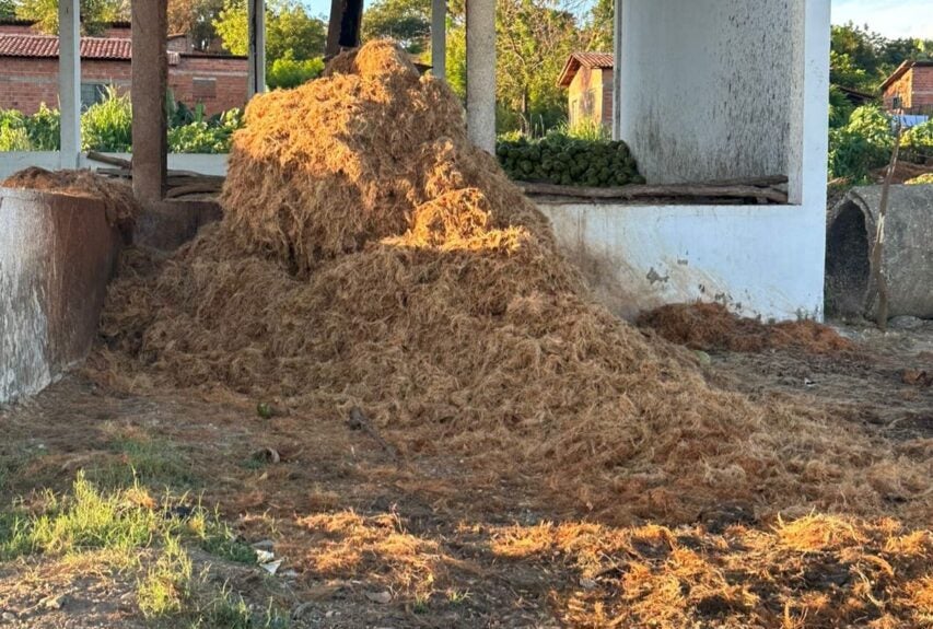 Prefeitura de Teresina busca ampliar a produção de composto orgânico na capital