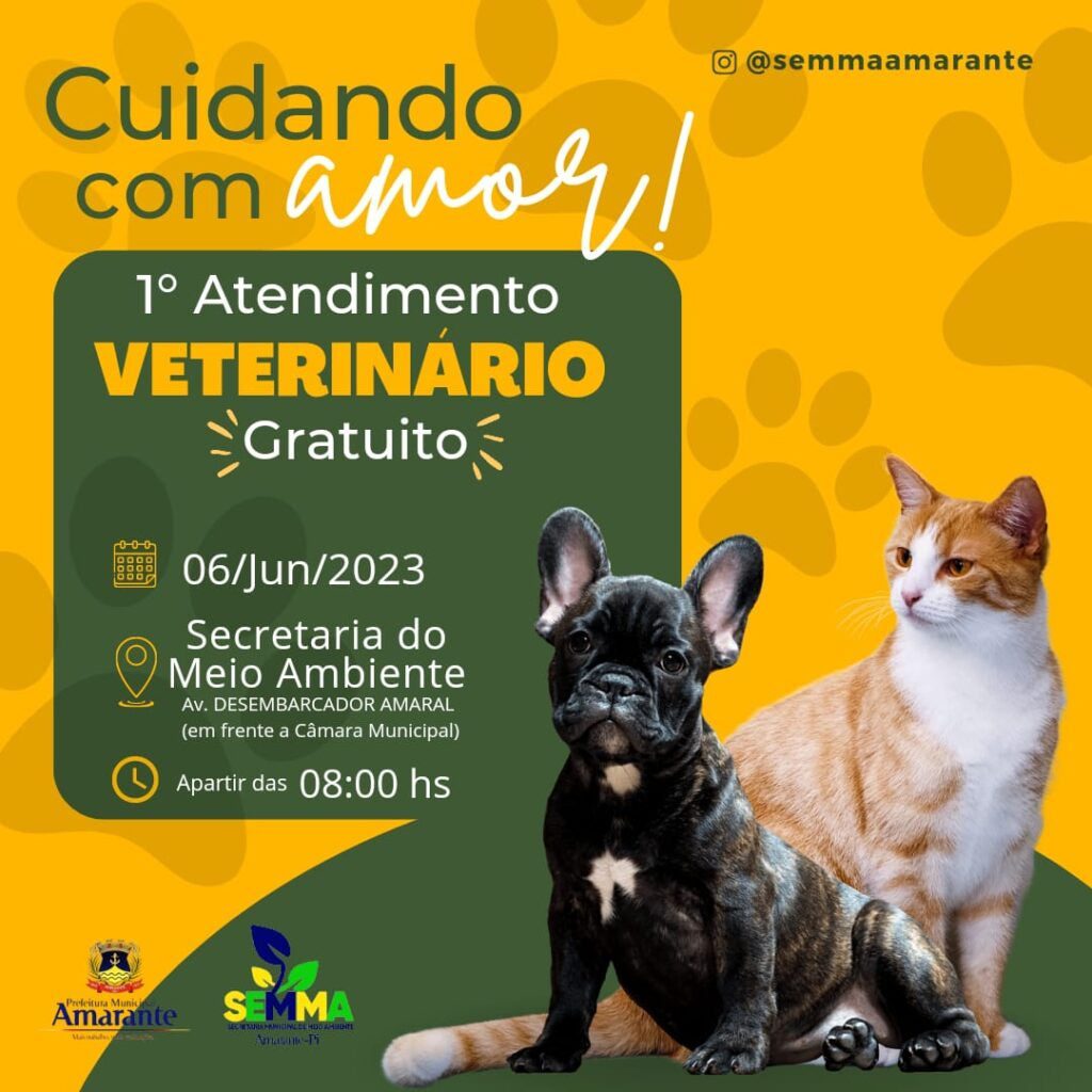 Amarante oferece 1º atendimento veterinário gratuito para animais de estimação