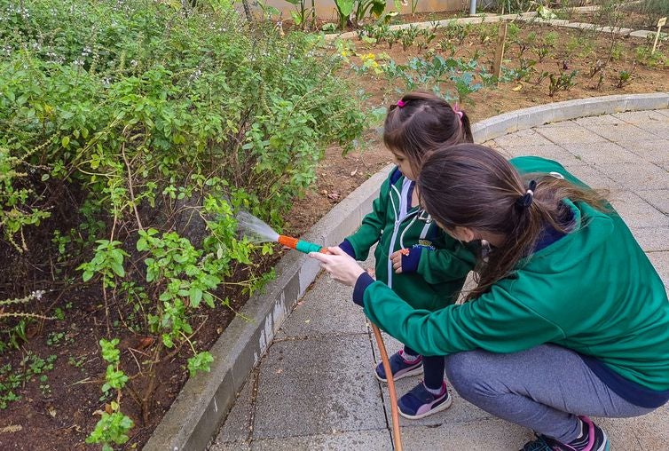 07/06/2023 - São Caetano do Sul - Escolas brasileiras são exemplos de boas práticas em alimentação escolar - Projetos de São Caetano do Sul são citados em projeto da FAO, agência da ONU para o combate à fome. Foto: Pref. São Caetano do Sul/ Divu