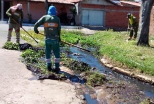 SAAD Sul divulga as ações de limpeza desta segunda-feira (31)