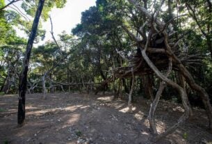 Exposição Cosmogonia Inventada traz obras do artista Rafael Mattos em Altamira