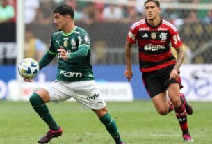 Palmeiras e Flamengo se enfrentam tentando se aproximar do Botafogo