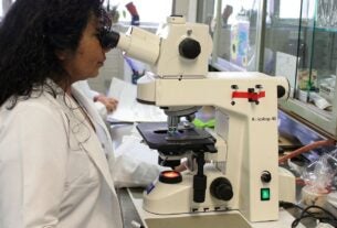 Prêmio chama atenção para desafios enfrentados por mulheres cientistas