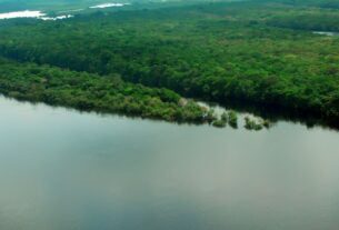 Cúpula, em Belém, será a “voz amazônica”, diz diretor da OTCA