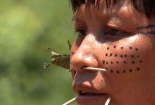 Curtas-metragens feitas por yanomami serão mostradas em Veneza