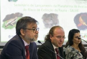 ICMBio lança plataforma com dados sobre espécies ameaçadas de extinção