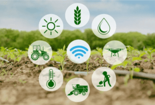 Expansão da IoT no Brasil inclui atividades agrárias