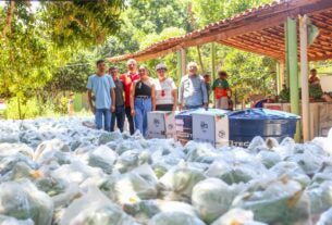 SAF entrega mais de 13 toneladas de alimentos e kits de irrigação em Pedro II