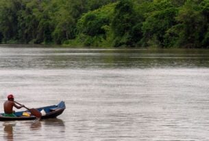 Amazônia Legal terá recursos para projetos de bioeconomia