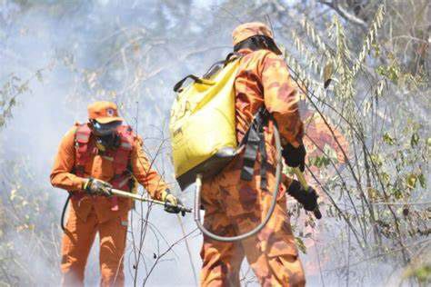 CTA e Corpo de Bombeiros combatem incêndio em região próxima à Via Expressa, em São Luís