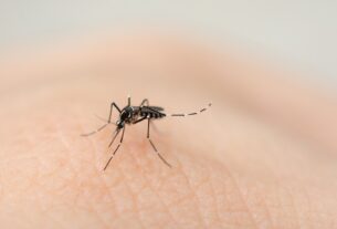Casos notificados de dengue, zika e chikungunya apresentam redução no Piauí