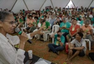 Marina Silva volta a defender desmatamento zero no Cerrado