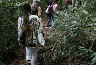 Participantes de projeto educativo conhecem biodiversidade do Cerrado