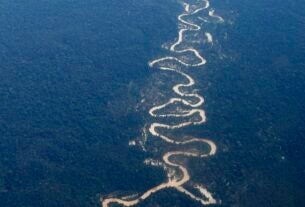 Ampliação da defesa na fronteira da Amazônia Legal será avaliada