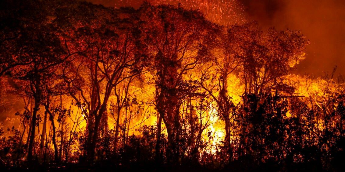 Pantanal tem mais de 3 mil incêndios em novembro; recorde histórico