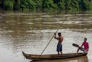 Apenas 5% dos povos negros da AL têm direitos à terra reconhecidos